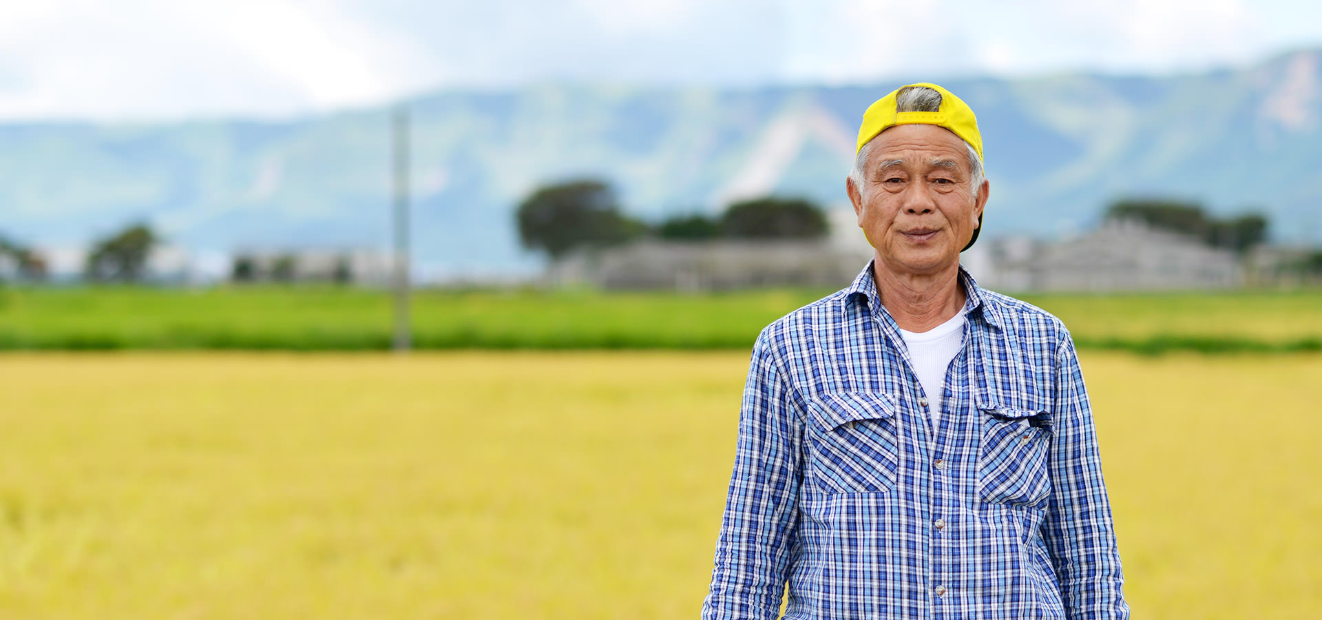 平成29年度、熊本南阿蘇産。荒牧武治さんが作る、無農薬・無施肥栽培のコシヒカリ。