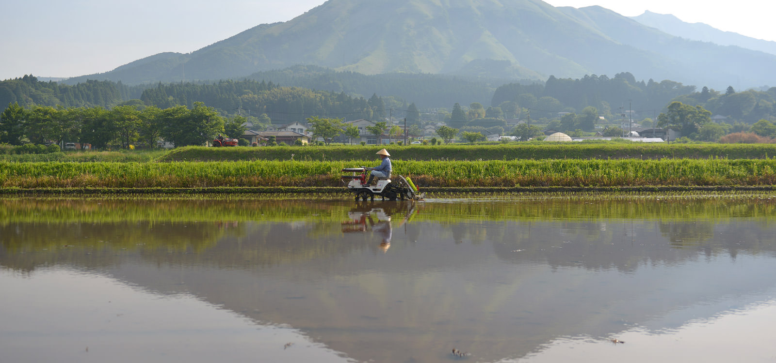 荒牧武治さんの田植え。