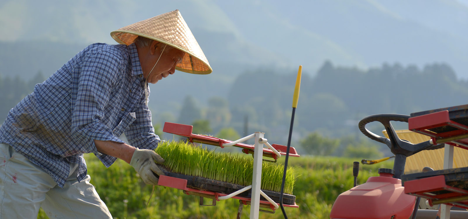 荒牧武治さんの田植え。