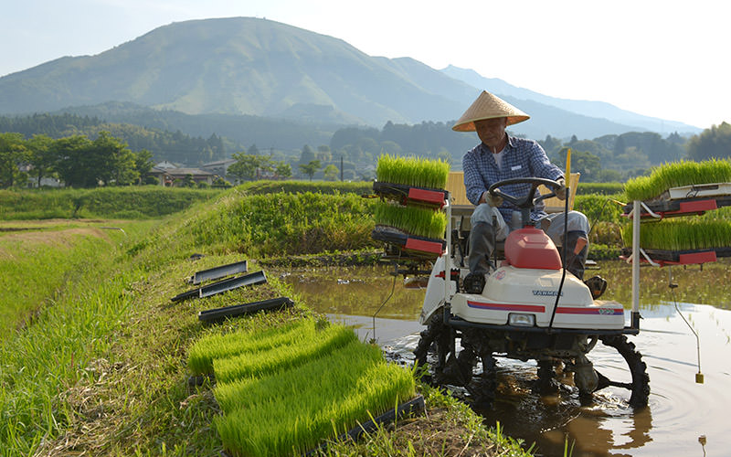 後ろにそびえる夜峰山には多くの亀裂が入る