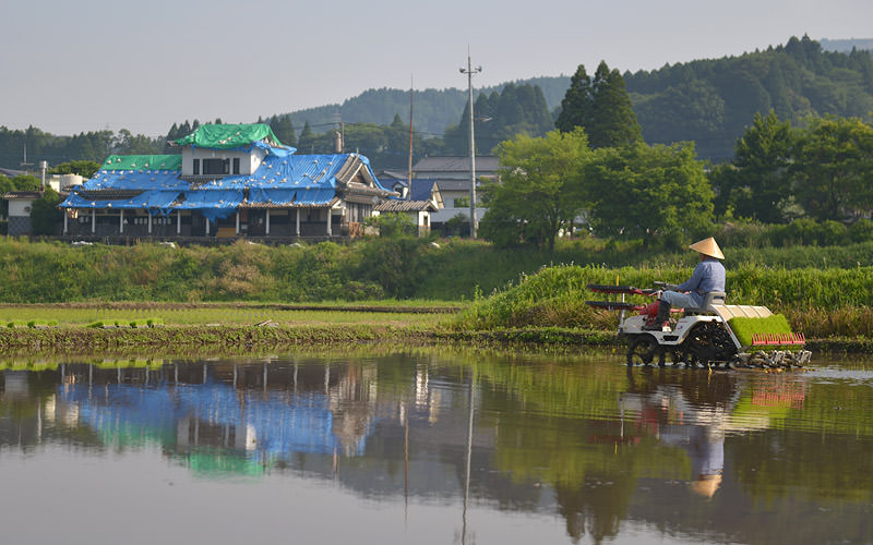 田植え機に苗を補給する。