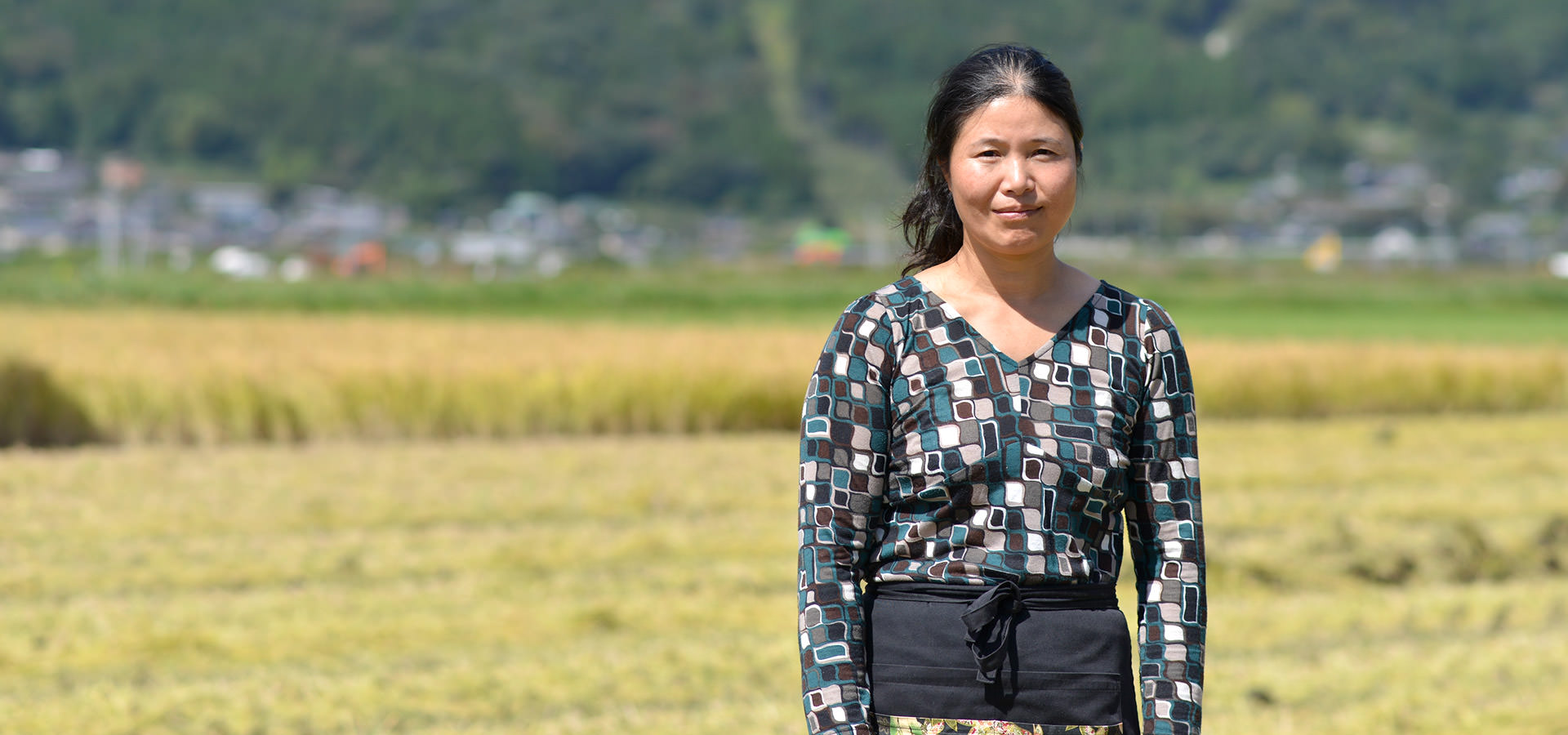 平成29年度、熊本阿蘇産。後藤明子さんが作る、無農薬・無施肥栽培のアイガモ農法コシヒカリ。
