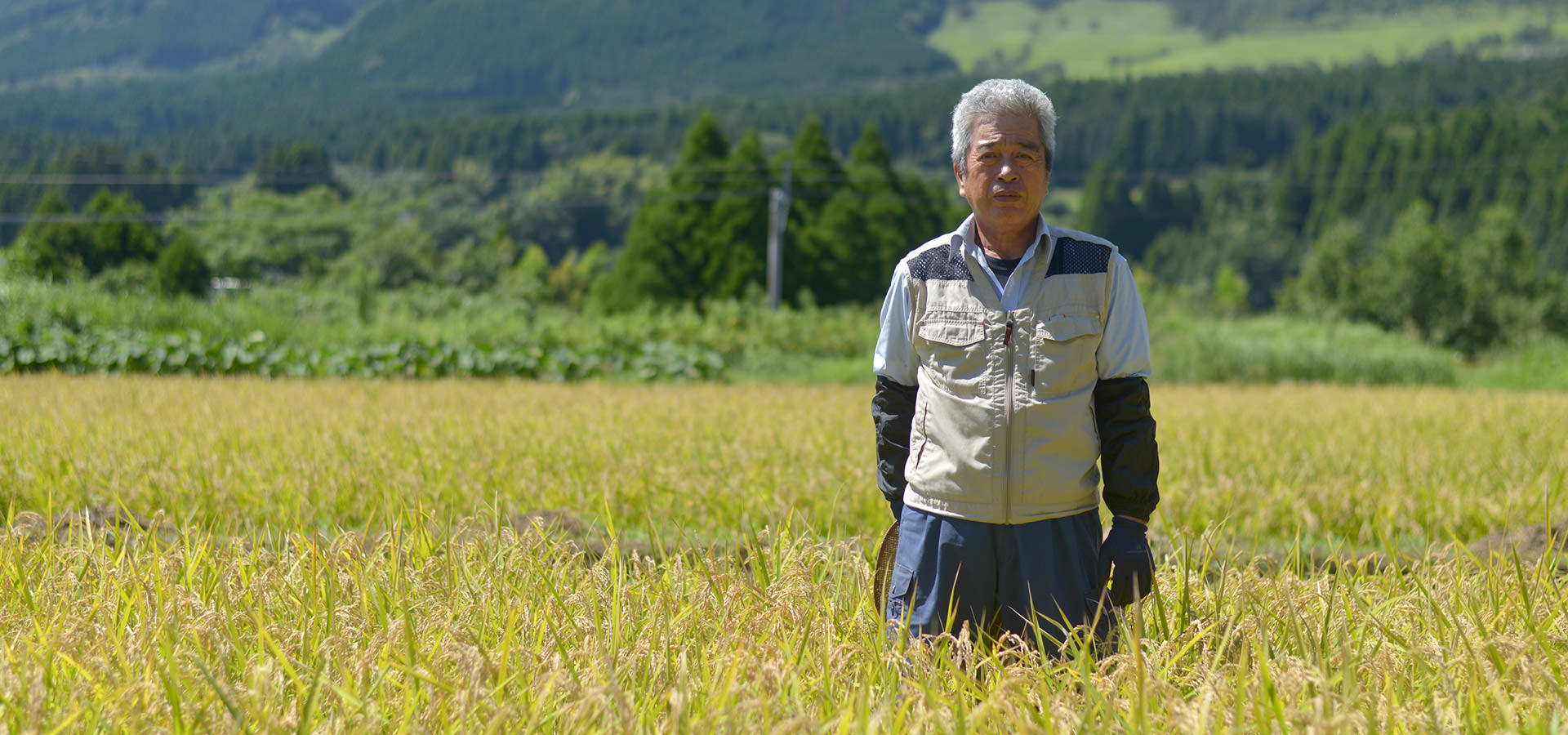 平成29年度、熊本南阿蘇産。長野訓之さんが作る、無農薬・無施肥栽培のコシヒカリ。
