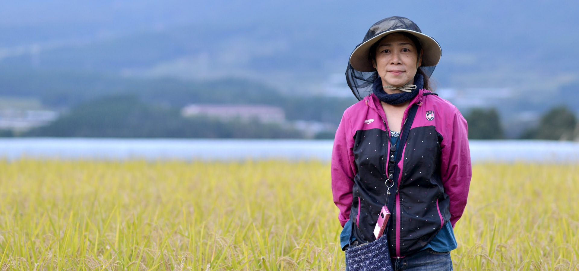 平成29年度、熊本南阿蘇産。緒方睦美さんが作る、無農薬・無施肥栽培のお米。