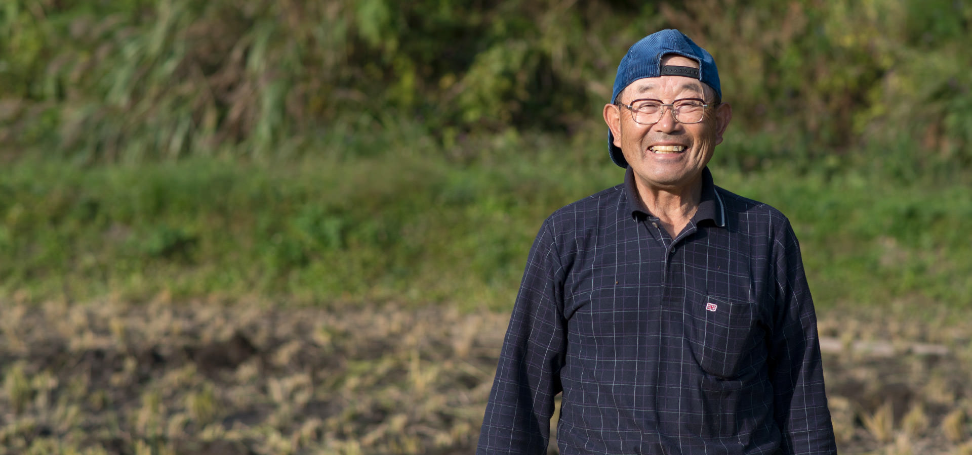 平成29年度、熊本阿蘇産。酒井忠晃さんが作る、アイガモ農法のお米。