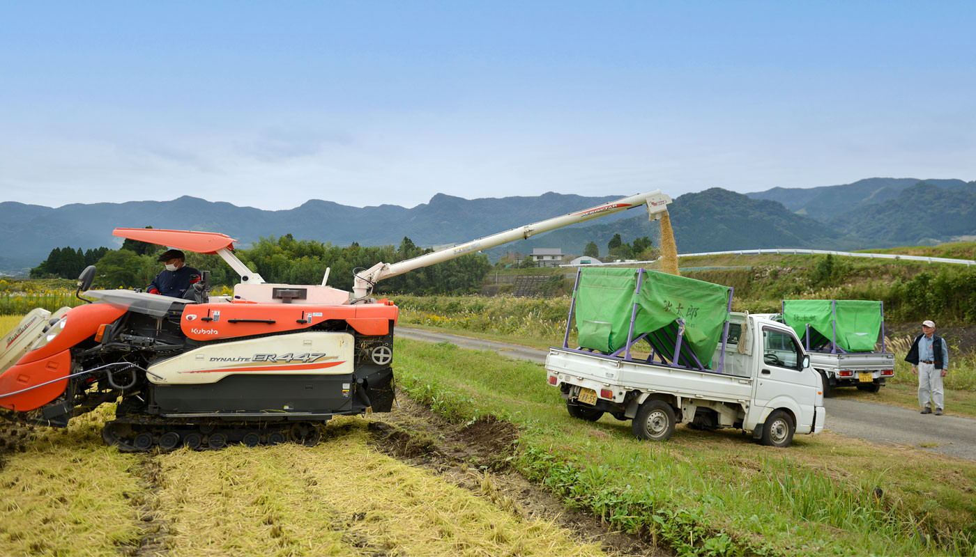 収穫した籾をコンテナに移す。