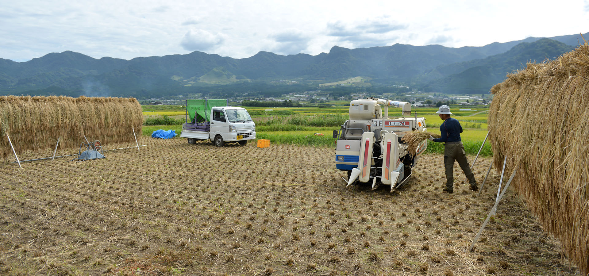 毛利秀幸さんが作る、無農薬・無施肥栽培米。