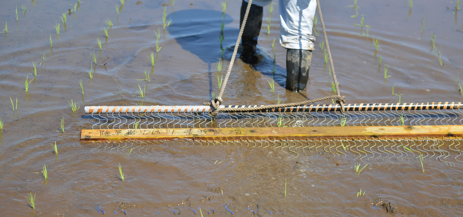 自作した除草機。