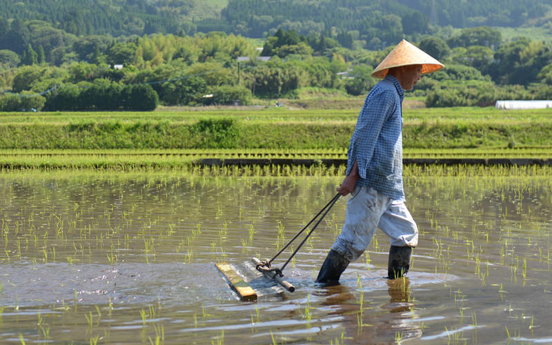 ロープを引っ張りながら作業を行う