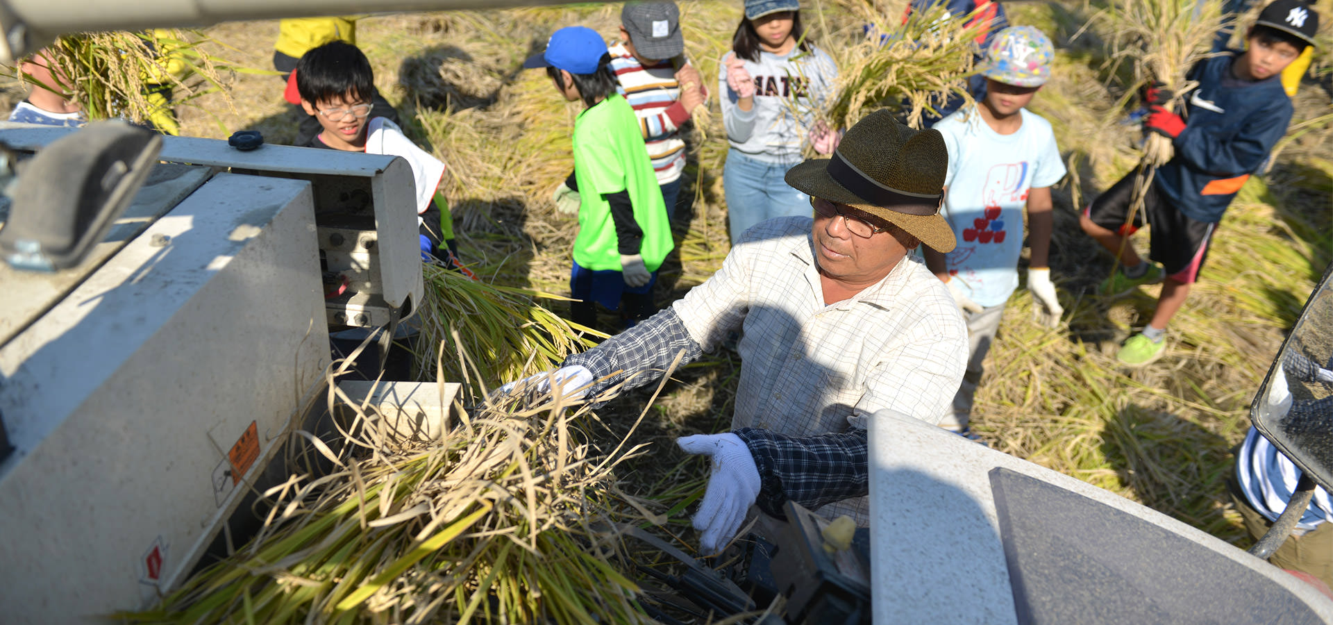 井芹政重さんが作る、無農薬・無施肥栽培米。