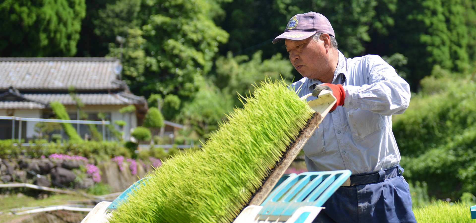 北野悦之さんが作る、無農薬・無施肥栽培のお米。
