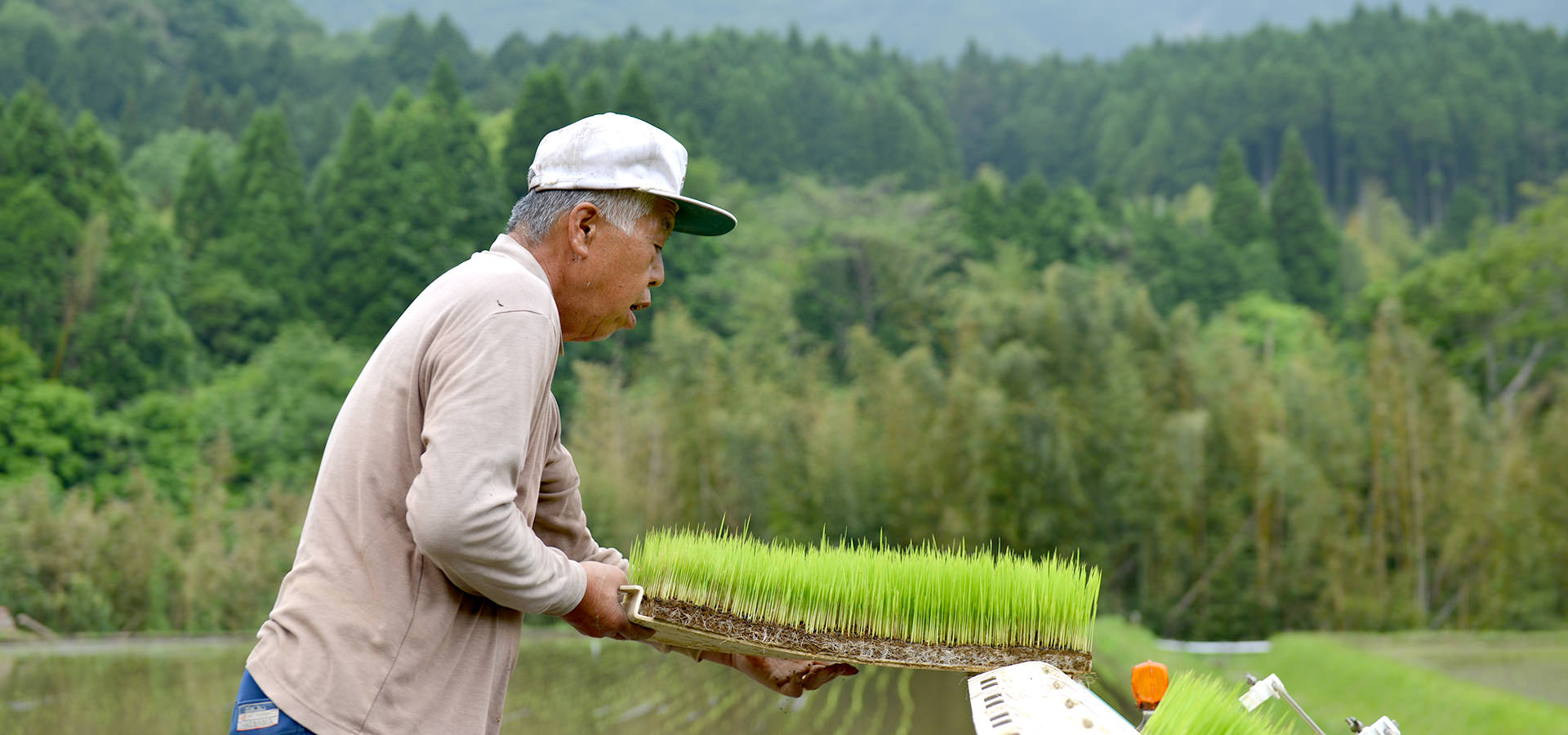 緒方孝行さんが作る、無農薬・無施肥栽培米。