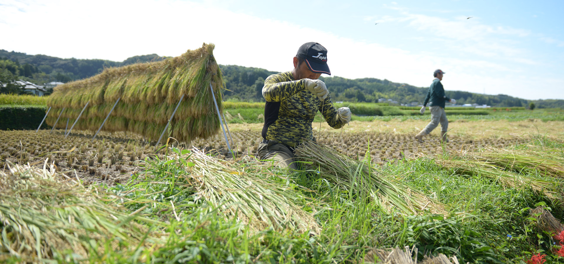 毛利秀幸さんが作る、無農薬・無施肥栽培米。
