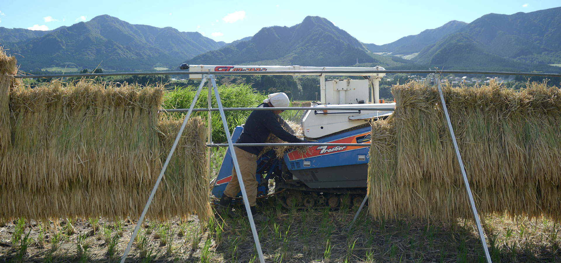 大森博さんが作る、自然栽培米