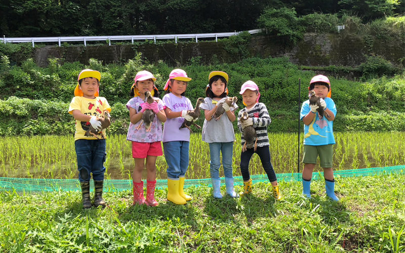 アイガモを手にもった保育園児たち。