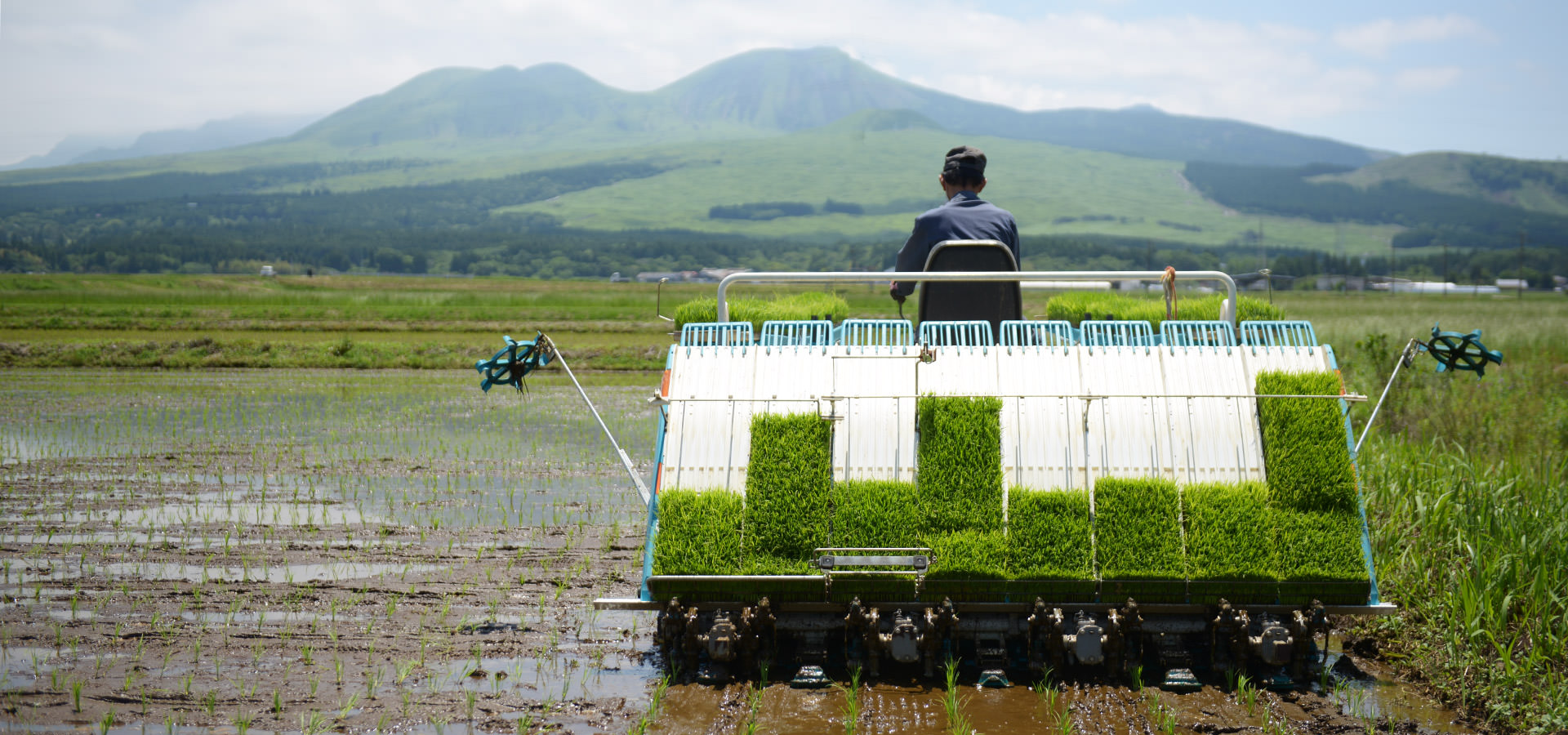 熊本阿蘇産。ASO北外輪ファームが作る有機栽培米。