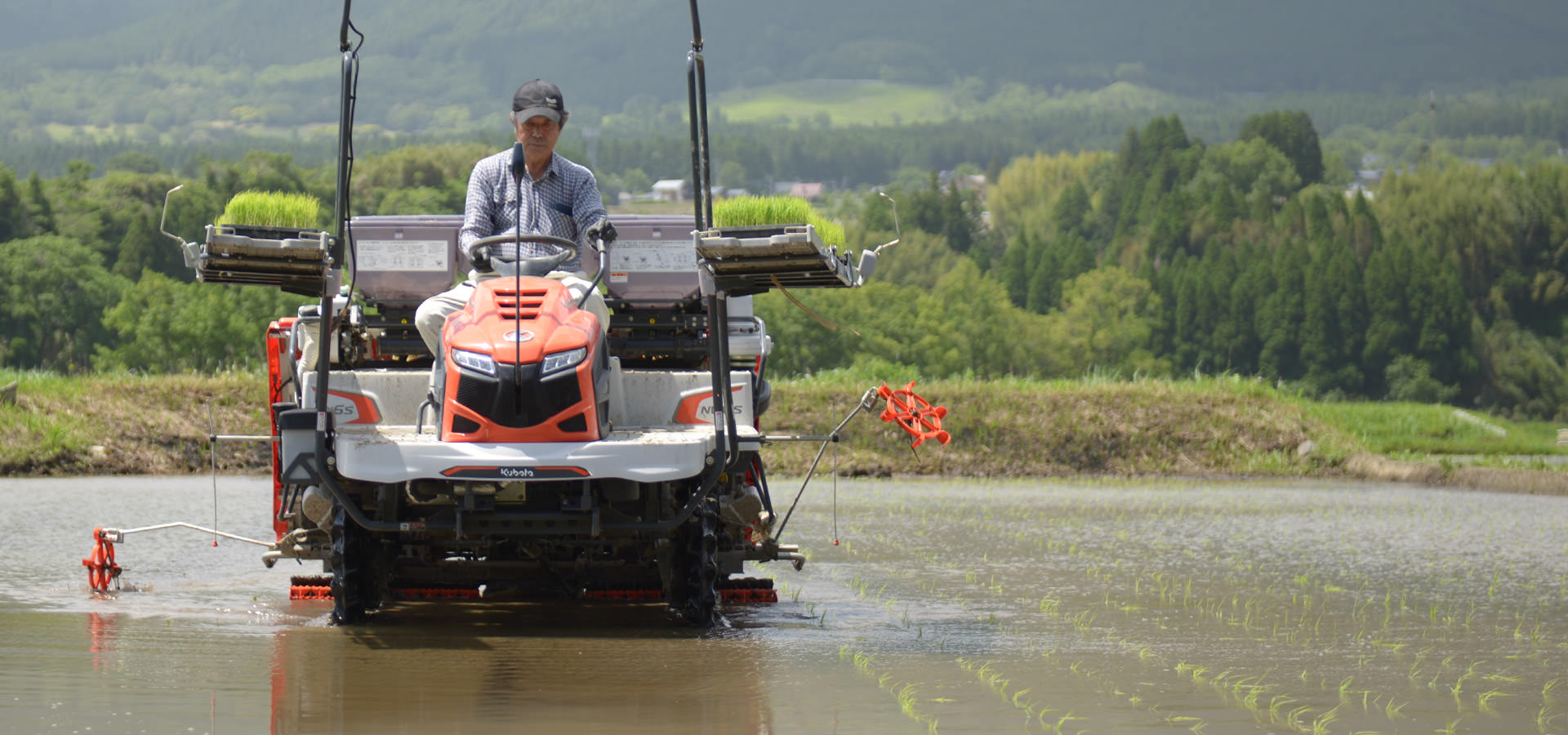 笠野真喜さんが作る、自然栽培米