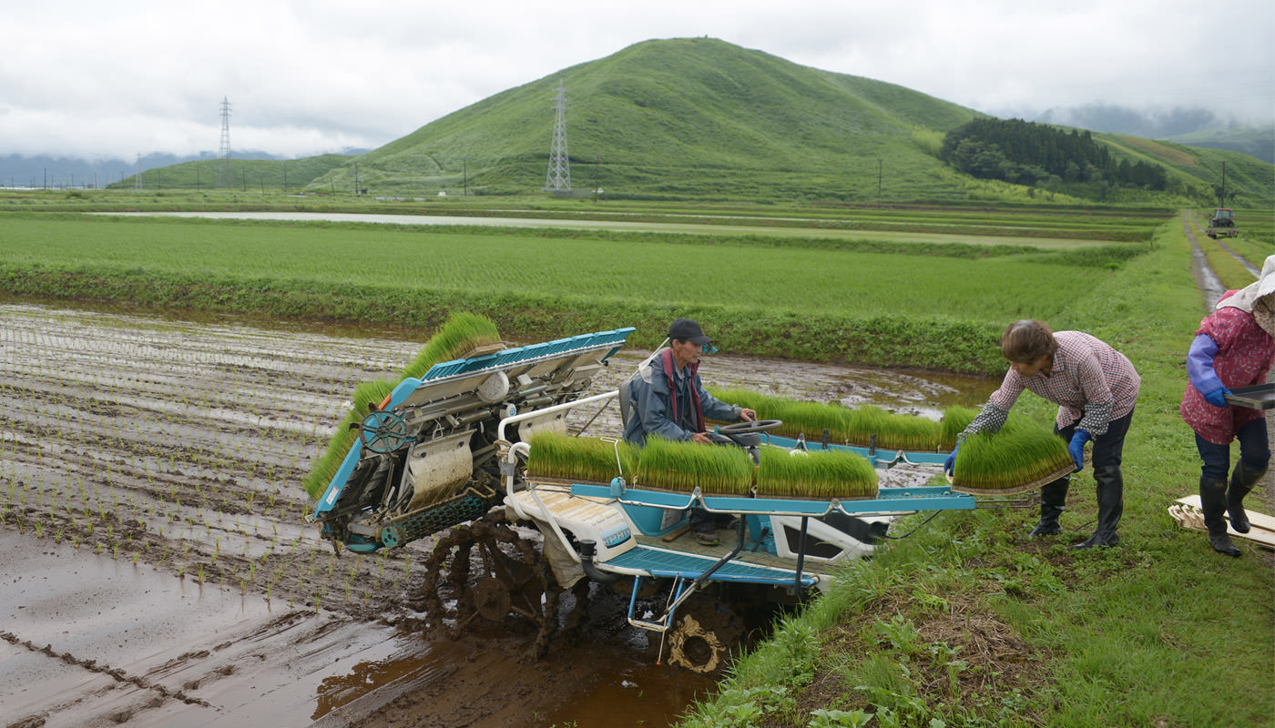 阿蘇山を臨みながら田植え