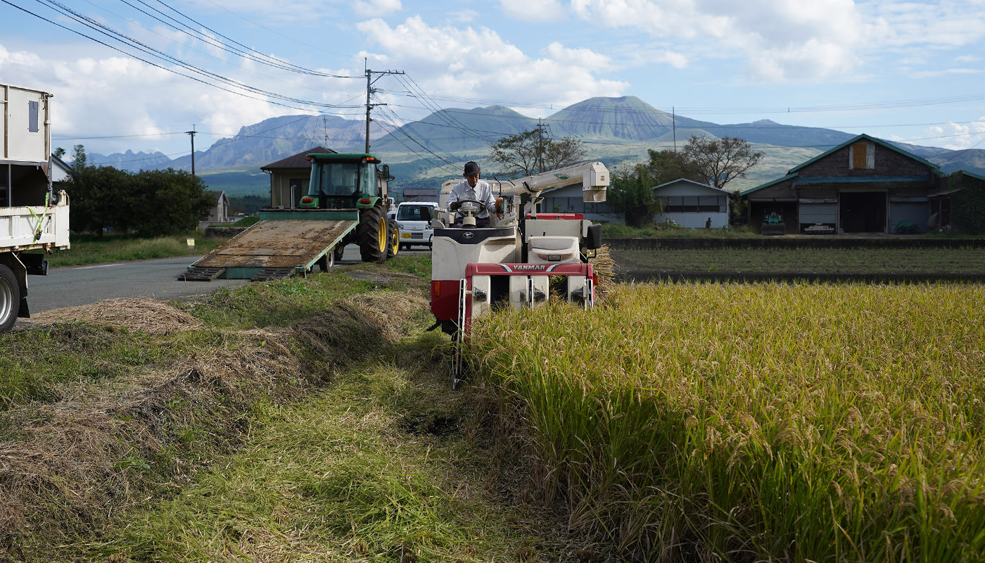 阿蘇山がよく見える田んぼ