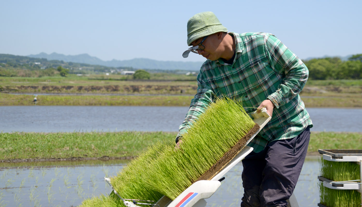苗を運ぶ赤城さん