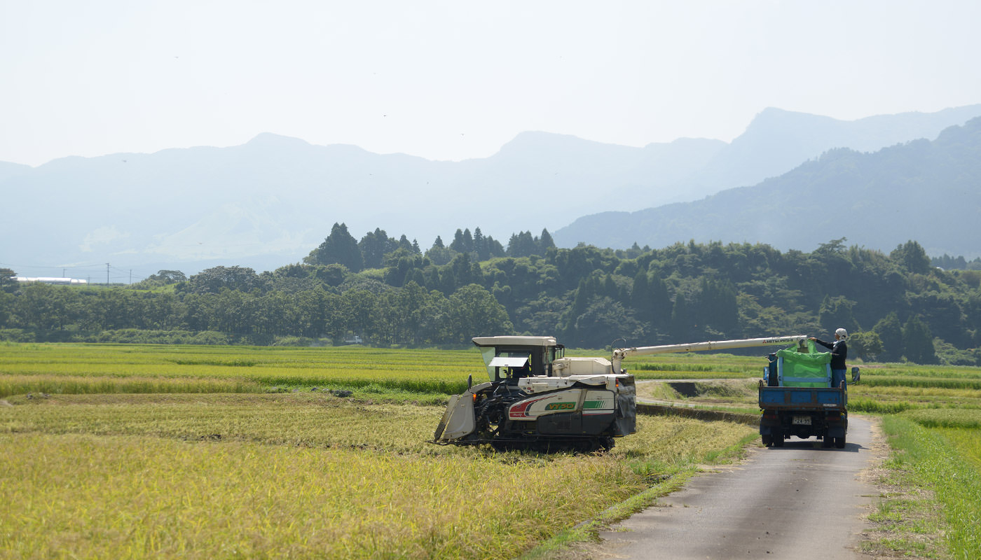 籾をコンテナに移す