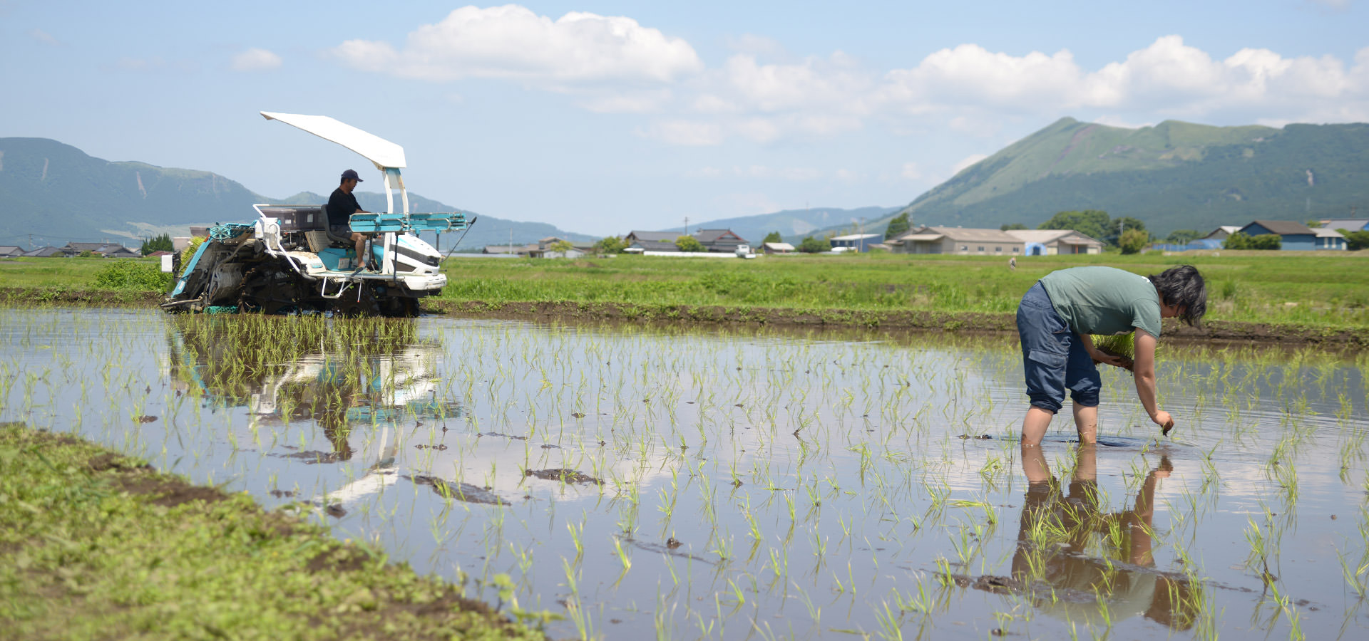 藤原勝義さんが作る、無農薬・無施肥栽培のお米
