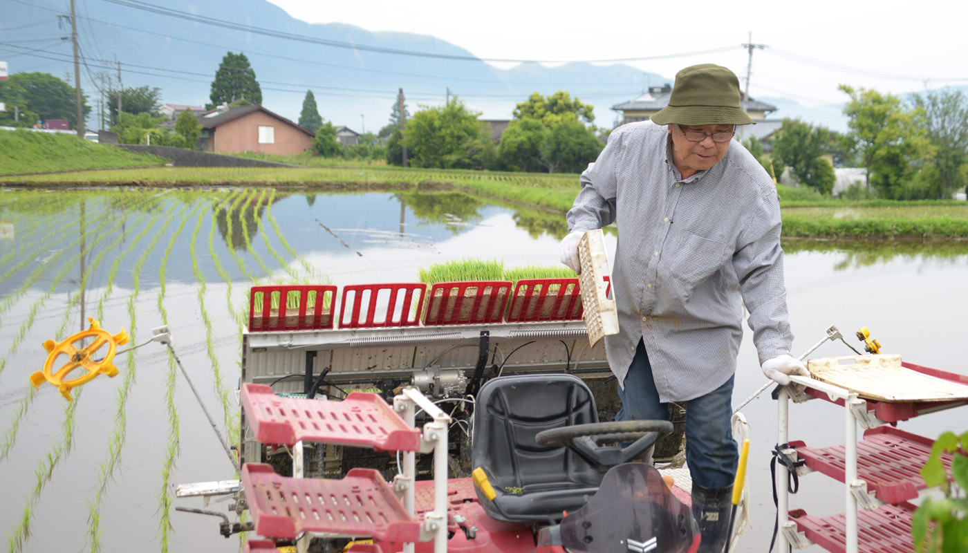 苗と積み込む様子