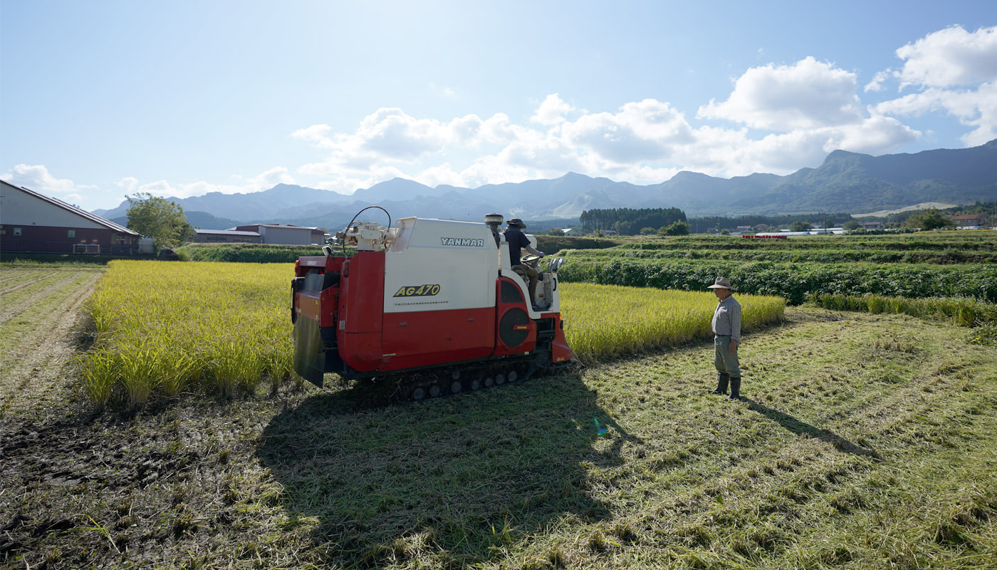 稲刈りする井芹さんの田んぼ。