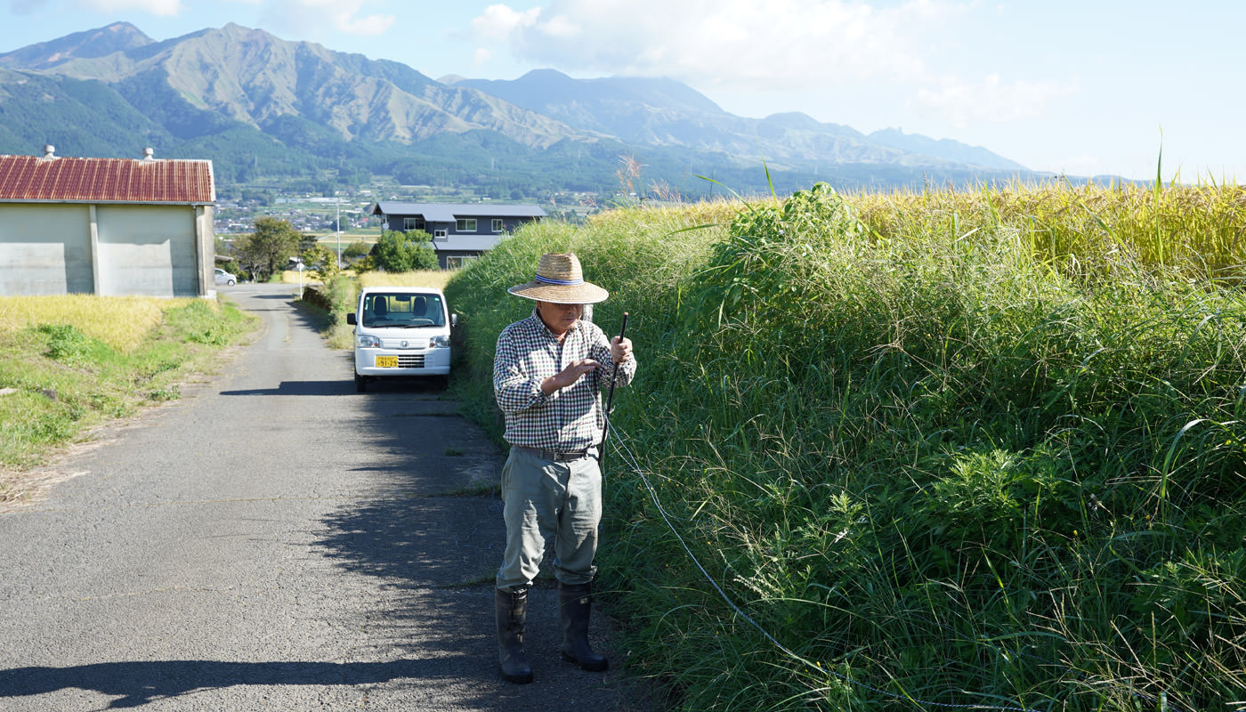 電柵を片付ける井芹さん