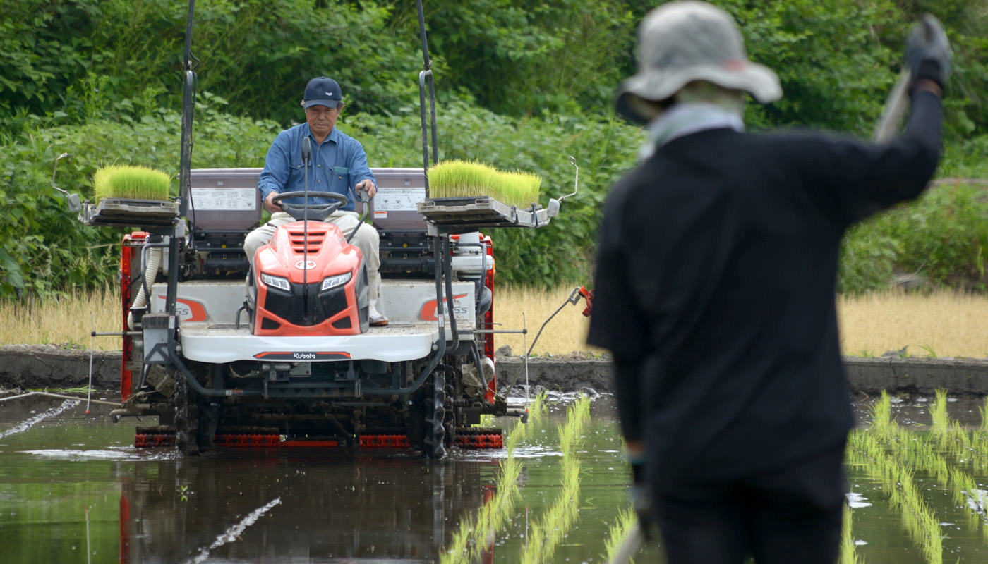 田植え中の様子