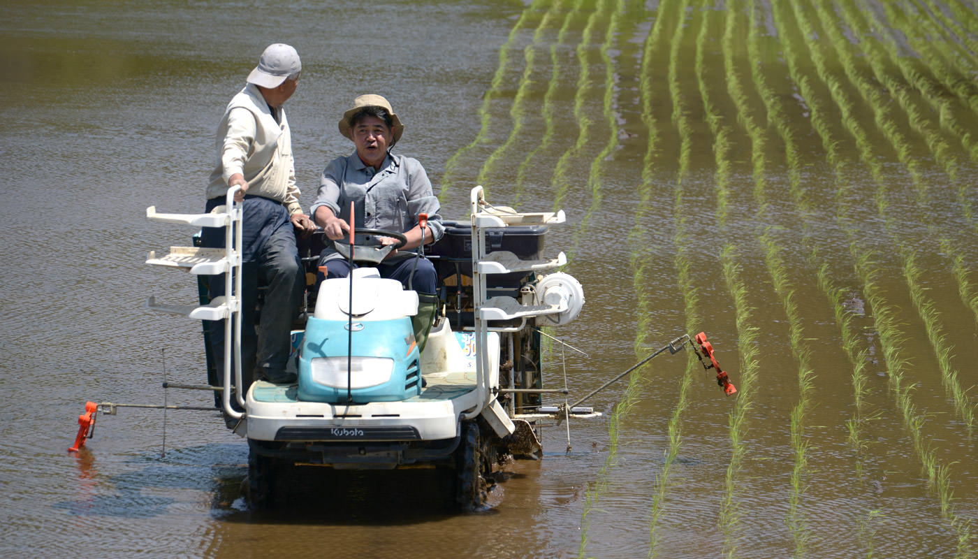 田植えする緒方さんと工藤さん