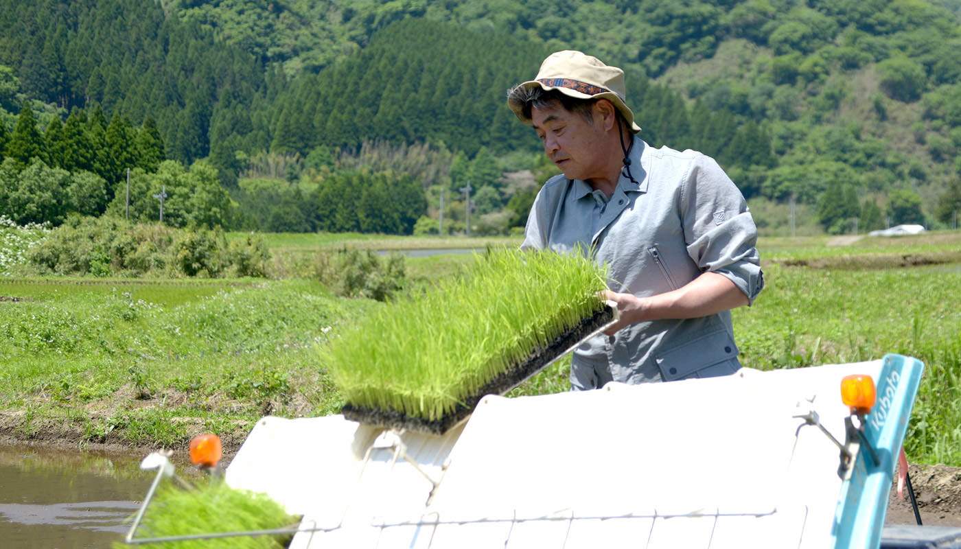 苗をセットする工藤さん