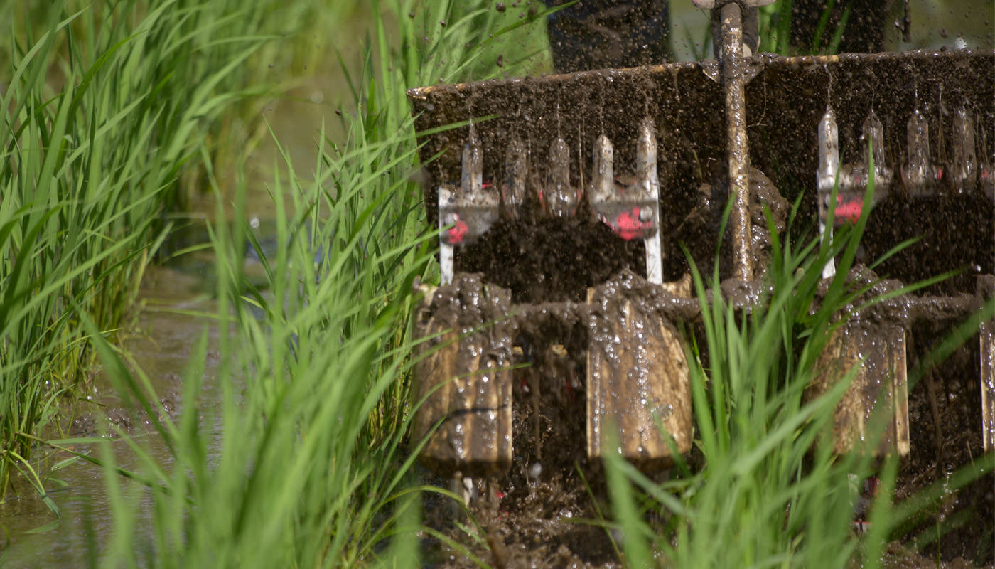 爪で土を撹拌する