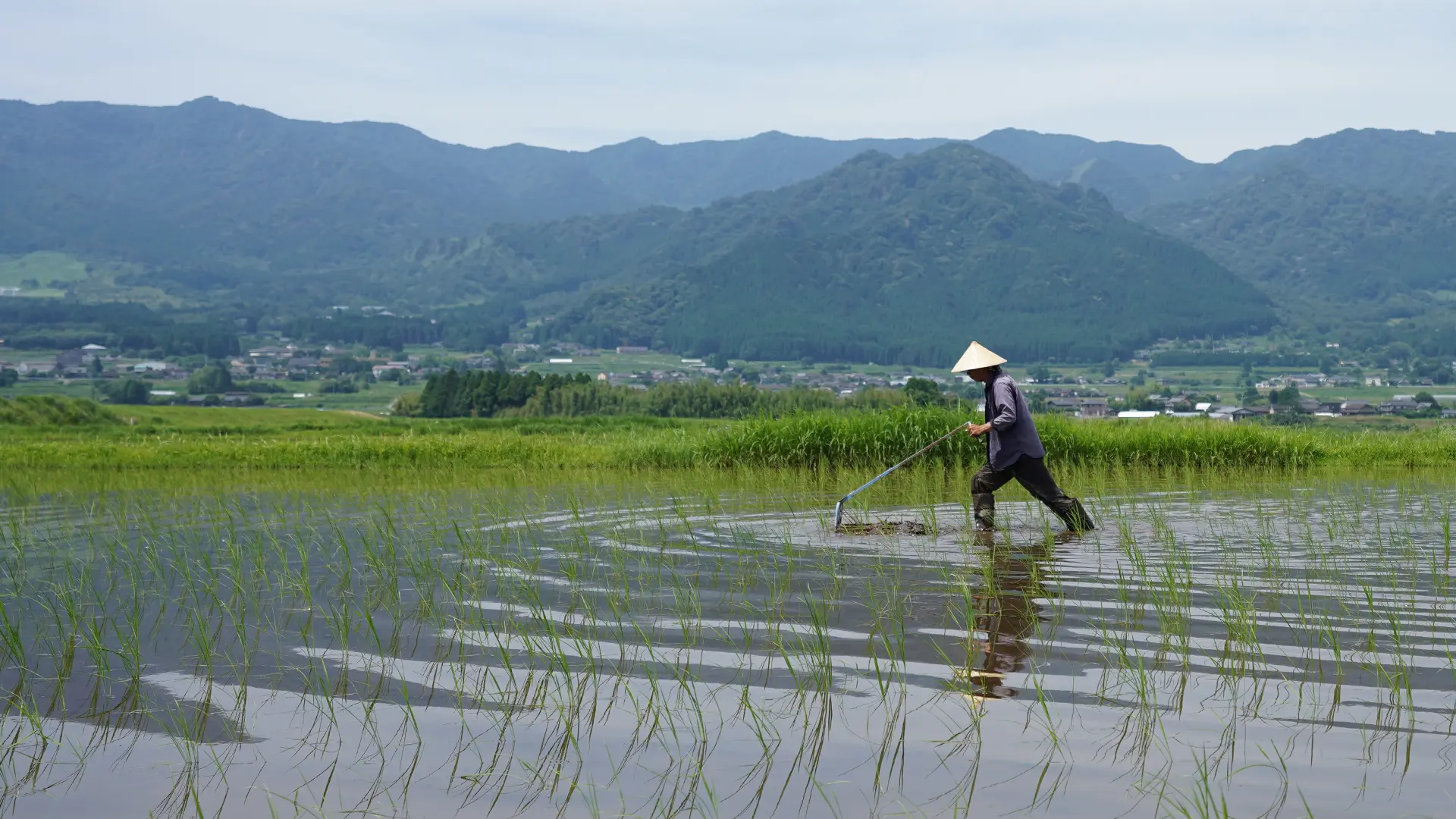 除草機をかける赤城さん