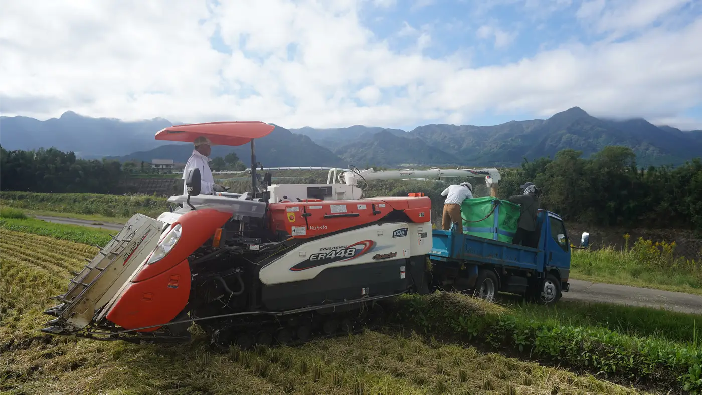 たまった籾をコンバインに移す