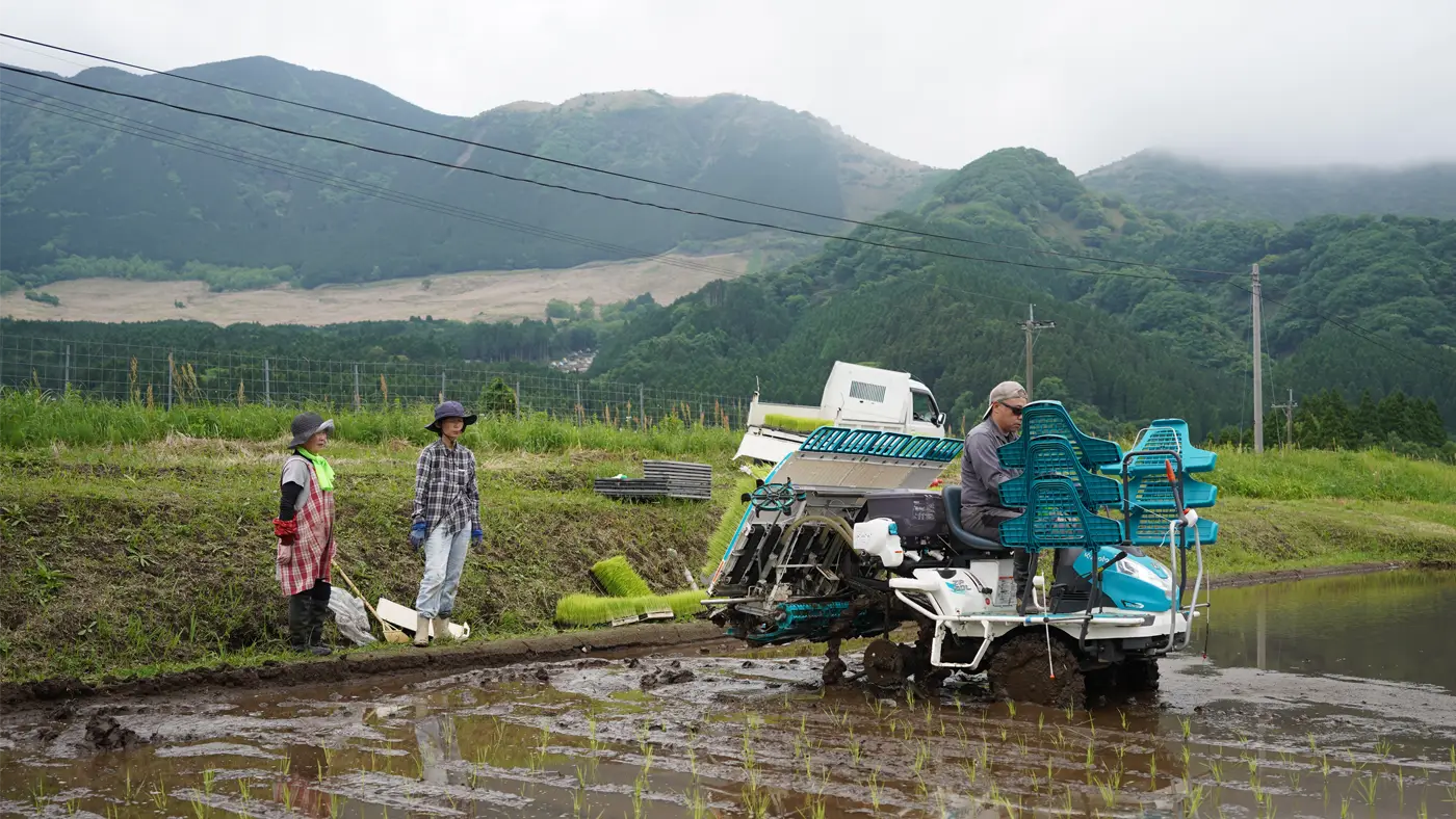 田植えする北野順一さん