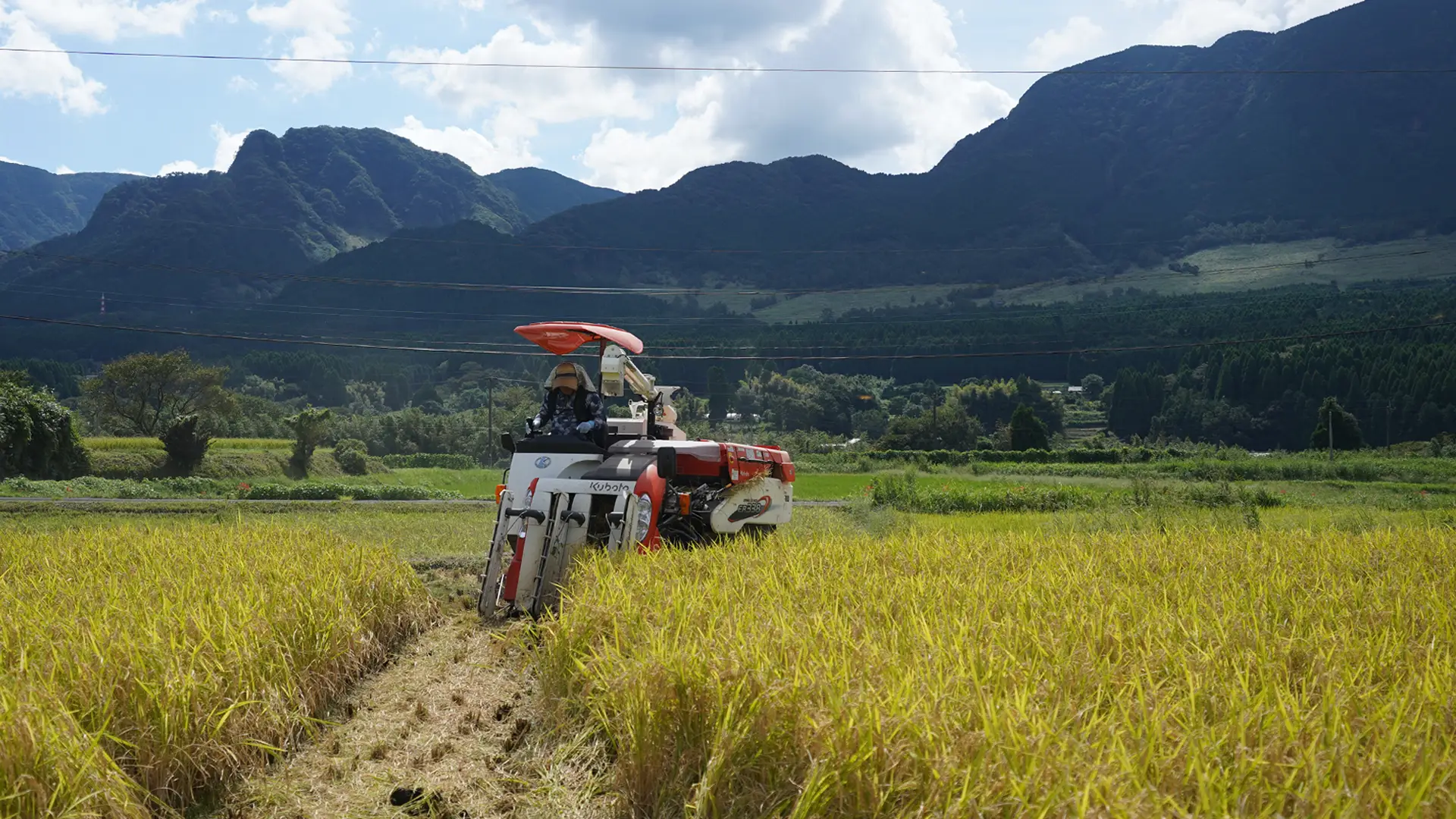 北野初子さんの田んぼの稲刈りする北野暁之さん