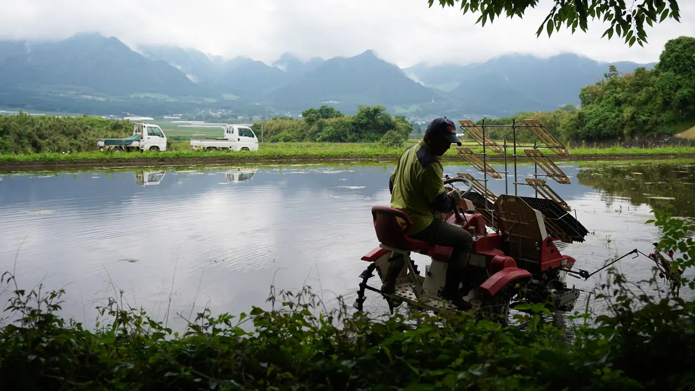 田植えする毛利さん