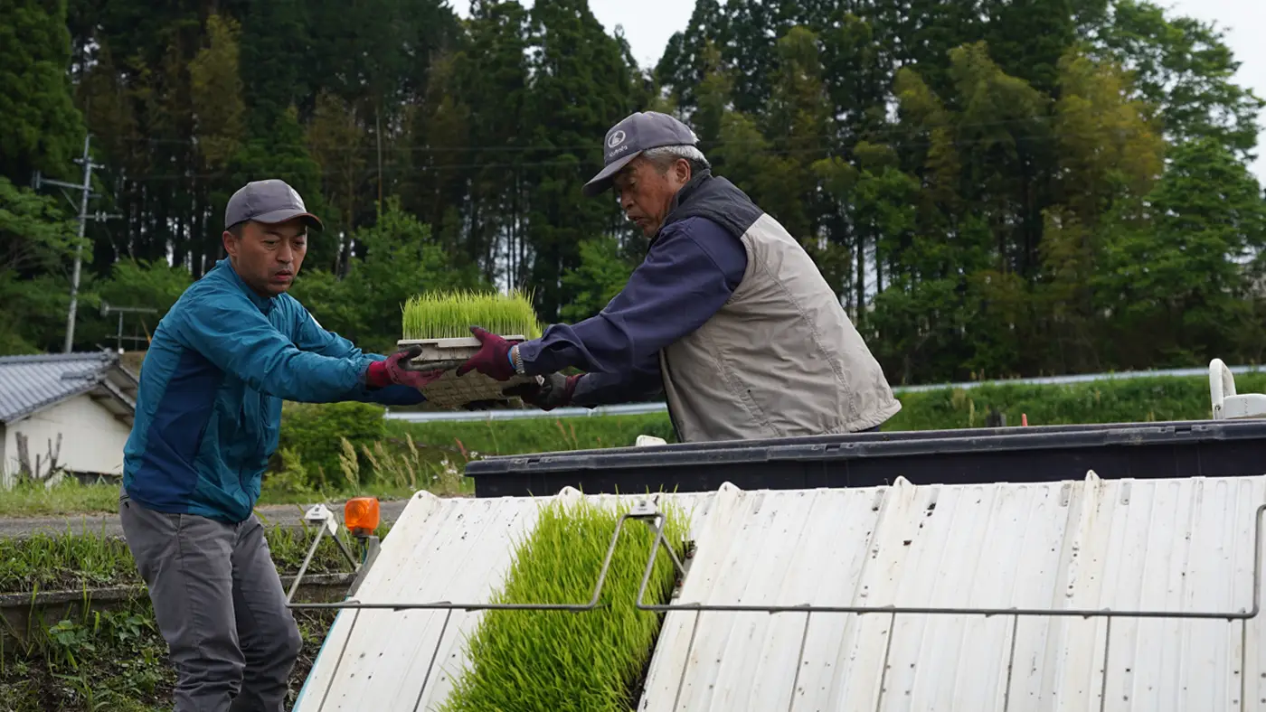 息子さんに苗を運んでもらう