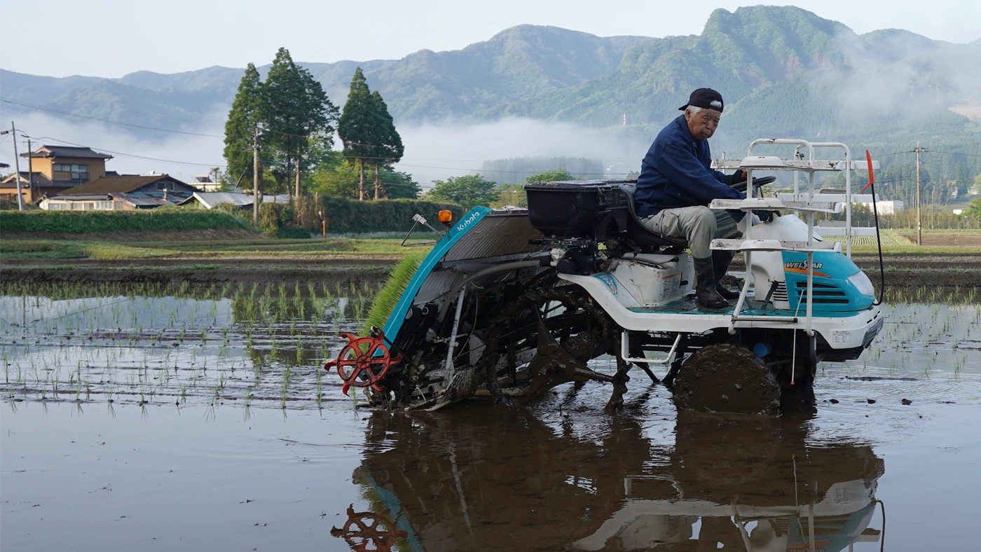 田植えする緒方さん