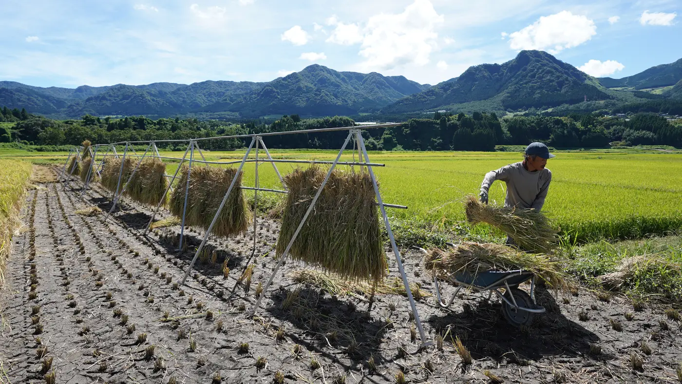 須古さんがお手伝いしている
