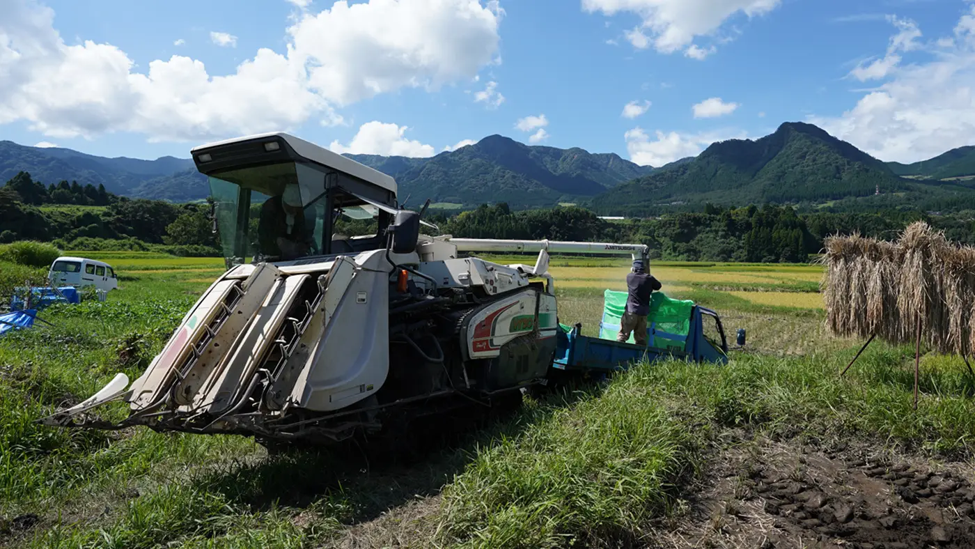 籾をトラックに移す