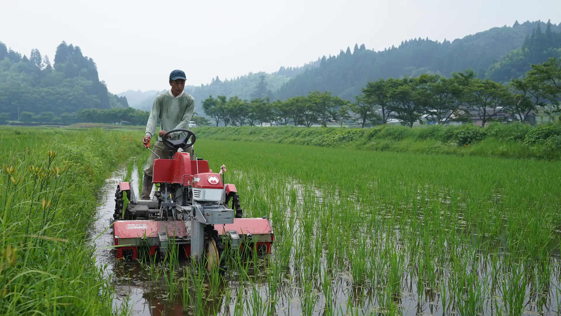 除草する須古さん
