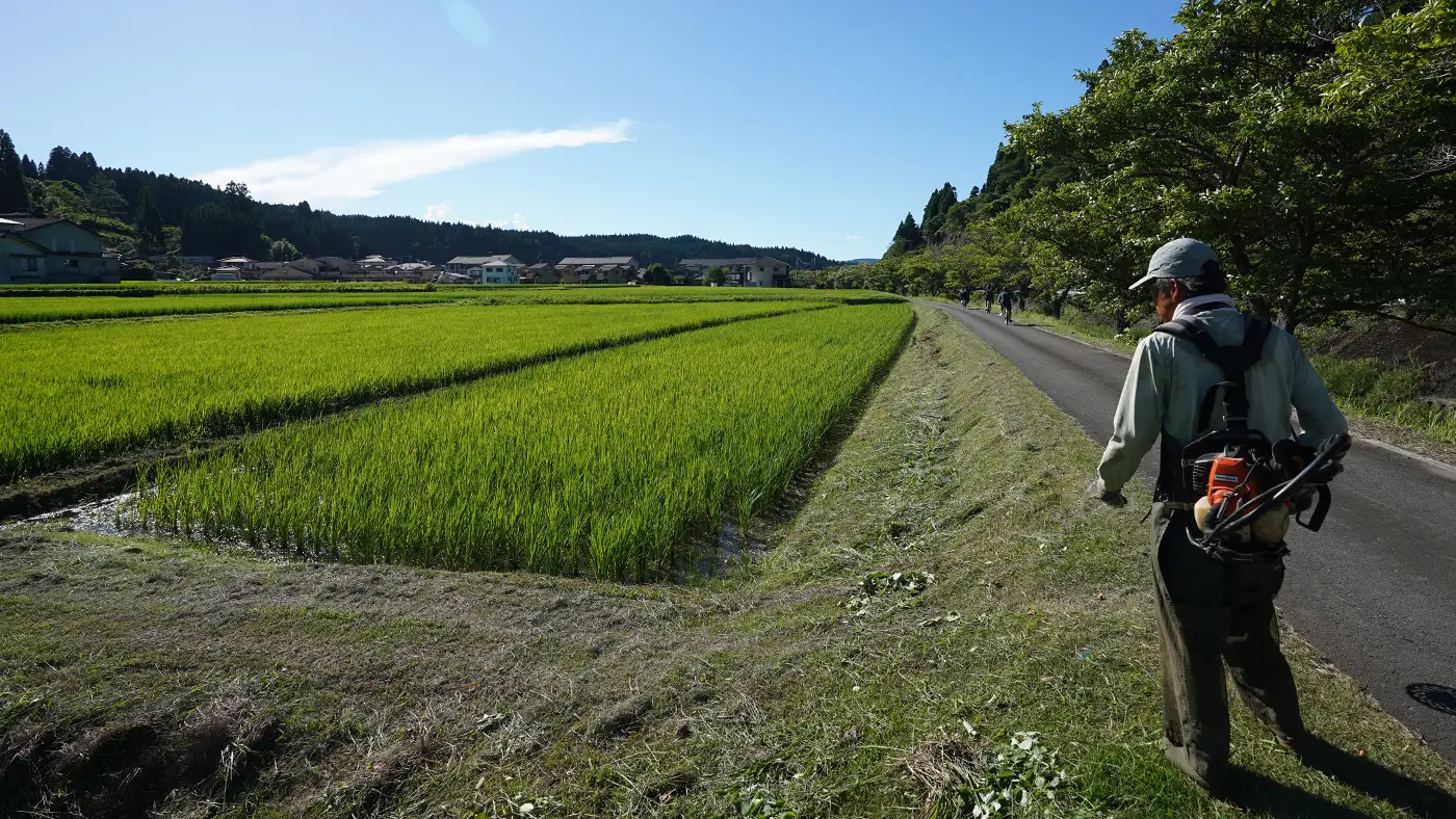 2025年7月24日の田んぼ