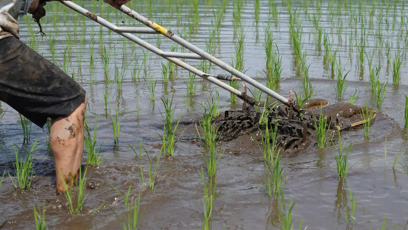 雁爪で土を撹拌する