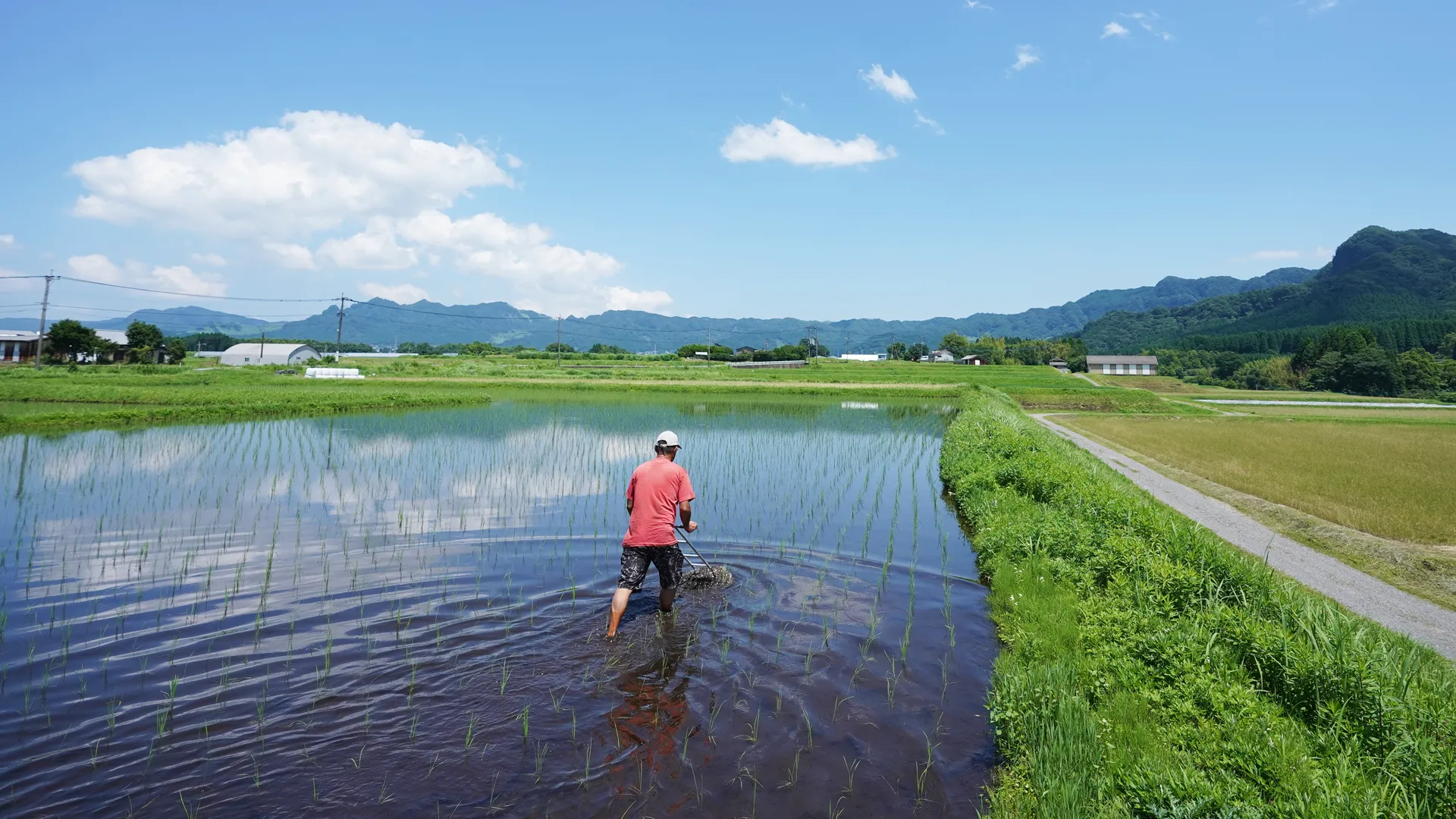 除草機の様子