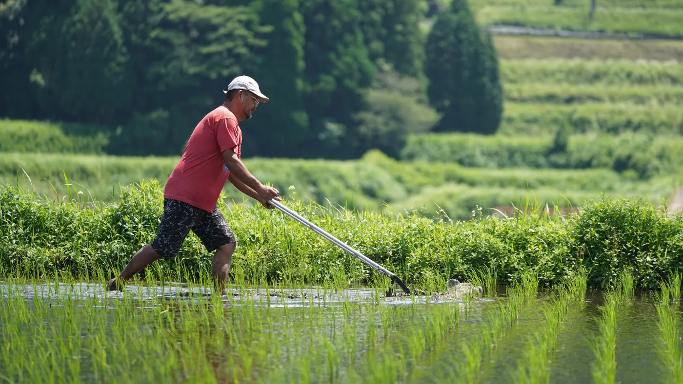 除草機で土を撹拌する