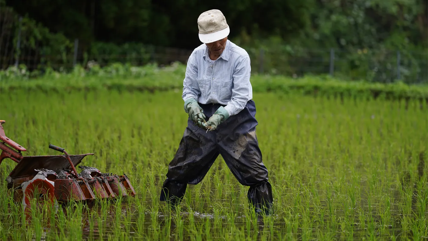 手除草もする