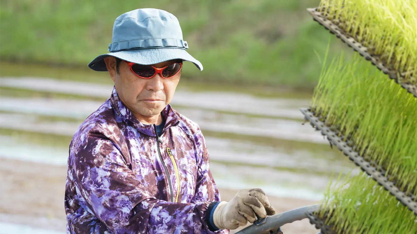 田植えする毛利さん