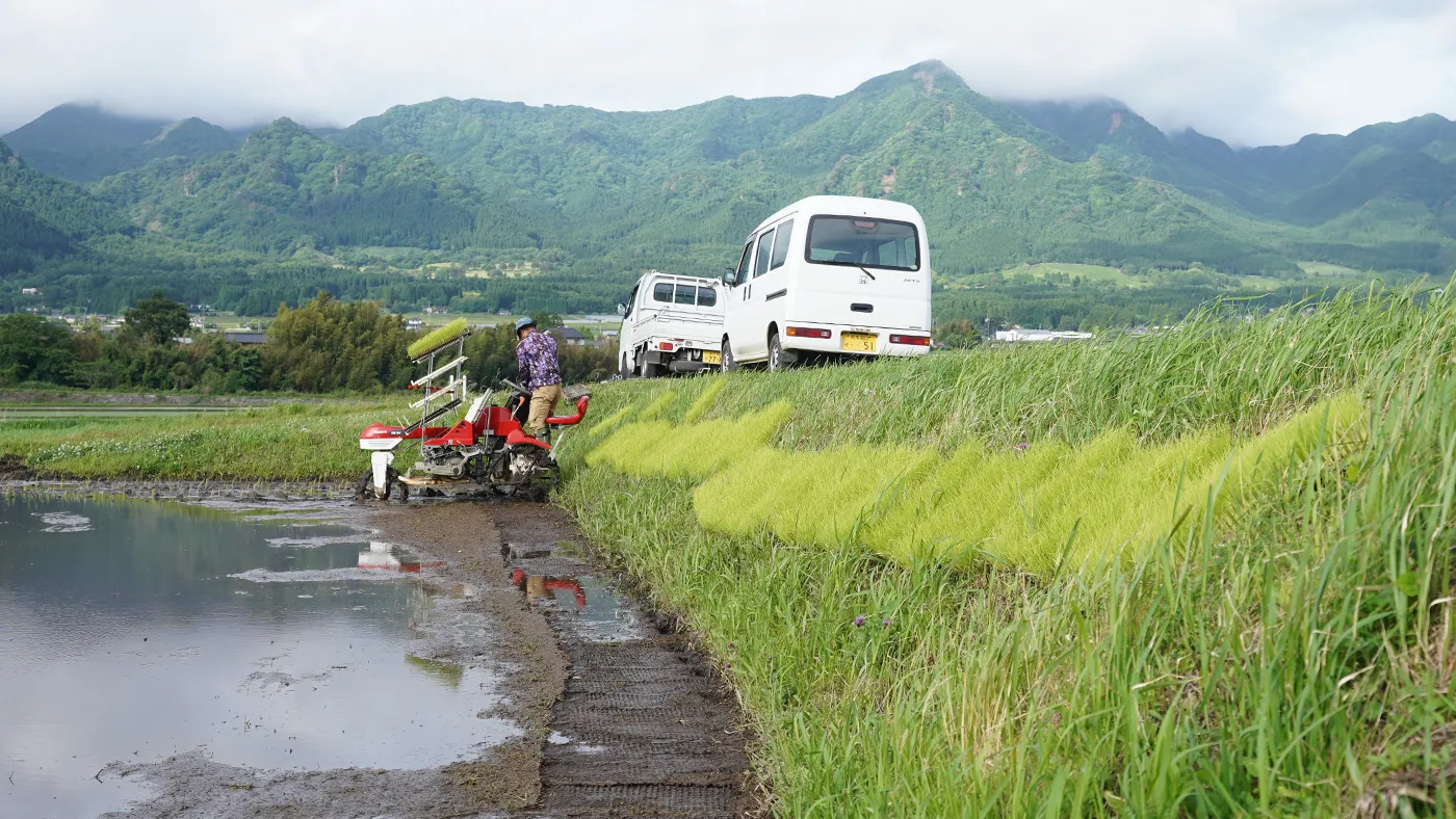 田植えの風景